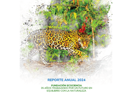 Reporte Anual de Actividades 2024